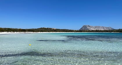 Marvelous in front of the beach, private pool