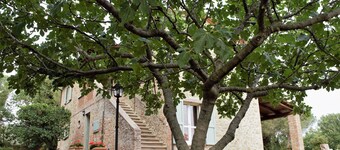 Stunning villa with private pool, patio and large garden