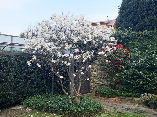 90m2 de confort à quelques pas du lac dans le centre historique de Suna
