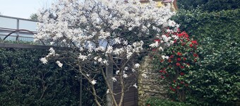 90sqm of comfort just a few steps from the lake in the historic center of Suna