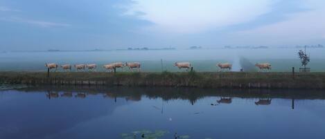 Blick von der Unterkunft