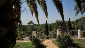 A garden with palm trees, a paved walkway, and a fenced area with a small building. - Exclusive Villa with Private Pool and Etna View (Piedimonte Etneo)