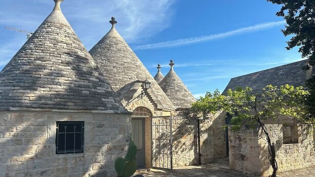 Un patio con edificios de piedra, una planta de cactus y una puerta.