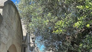 Un sendero de piedra que lleva a un edificio con una entrada en arco y una ventana pequeña.