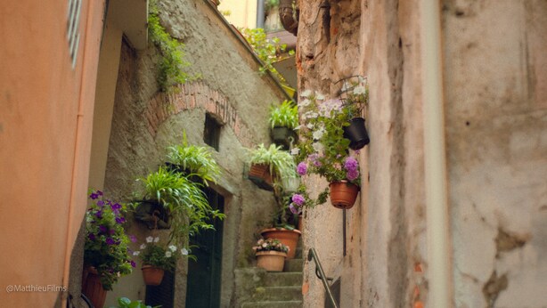 Une ruelle étroite aux murs de pierre, agrémentée de plantes en pot et d’un escalier rustique.