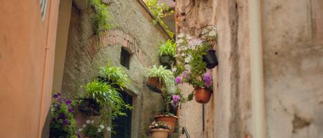 Détail de l’extérieur