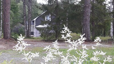 Little Sweden, that's what we call the place where the house is located in the High Coast area.