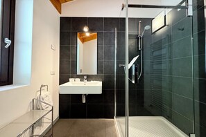 Shower, hair dryer, bidet, towels