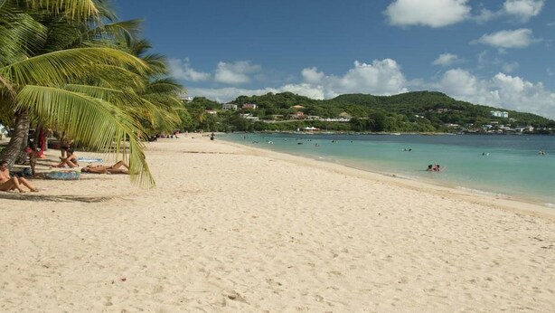 A beach with palm trees, clear blue water, and houses in the background. - Mayero: Belfond Apartment (Sainte-Anne)