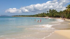 A beach with clear blue water, sandy shore, and palm trees. - Mayero: Belfond Apartment (Sainte-Anne)