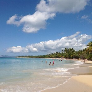 Strand