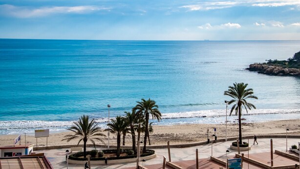 Una spiaggia con palme, una riva sabbiosa e un mare cristallino.