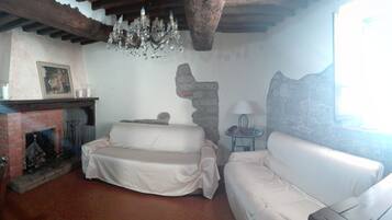 Télévision, cheminée, livres