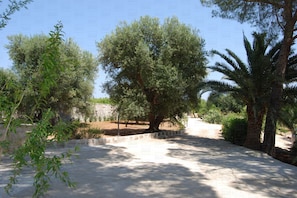 Jardines del alojamiento