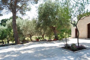 Property grounds - Villa Rotondo: Trulli with pool in Puglia, Pet Friendly (Monopoli)