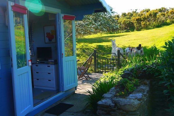 The Chalet with Donkeys.