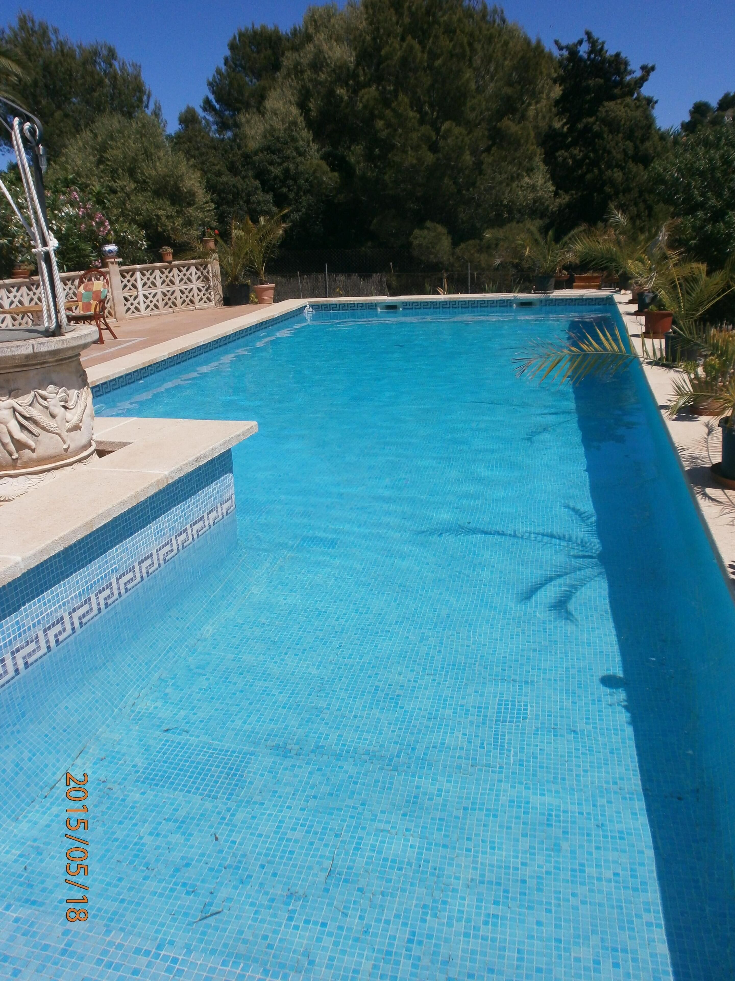 A rectangular swimming pool with a tiled edge and a decorative stone feature on the left.