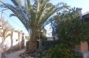 Property grounds - !OFFER ! GREAT HOUSE WITH POOL AND NEAR BEACH (Cala murada)