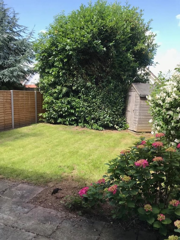 Enjoy a serene outdoor space surrounded by lush greenery and vibrant flowers.