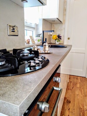 Fridge, oven, stovetop, dishwasher