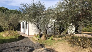 A stone pathway leading to a white building with a door and windows, surrounded by olive trees and greenery. - Villa Paradiso, in the beach by foot, big garden,  Wifi, all inclusive (Cala Liberotto)