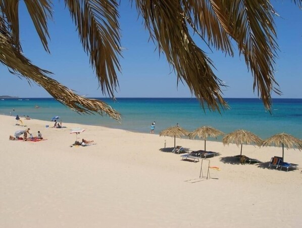 Playa en los alrededores 