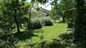 A lush garden with a variety of trees and shrubs, a well-maintained lawn, and a house in the background. - Casale Amati La Marchesa, ancient and fascinating oil mill between sea and hills. (Ortonovo)