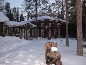 Eksteriør