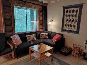 TV, fireplace, DVD player, books
