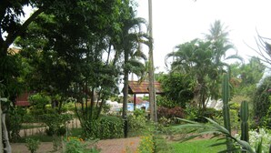 A garden pathway leading to a pool area with palm trees and various plants.