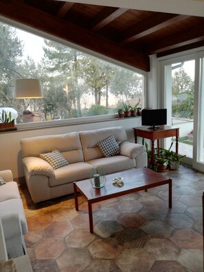 TV connectée, cheminée, lecteur de DVD