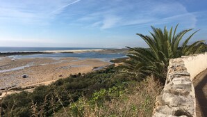 A coastal landscape with a stone wall, palm trees, and a beach with water channels.