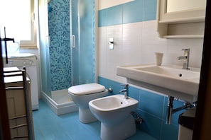Shower, hair dryer, bidet, towels