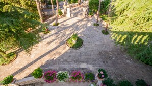 A stone pathway leading to a gated entrance surrounded by lush greenery and flower beds. - An exclusive historic villa with private pool (Fasano)