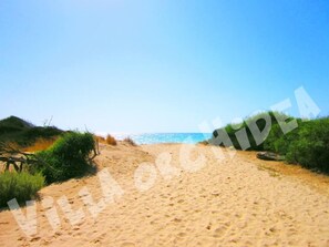 Playa en los alrededores 