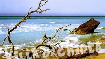 Una spiaggia nelle vicinanze
