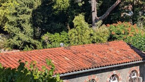 A building with a red-tiled roof, surrounded by lush greenery and trees. - Delightful Gite in SW France - Private Garden, Close to Town & beautiful walks   (Mazamet)