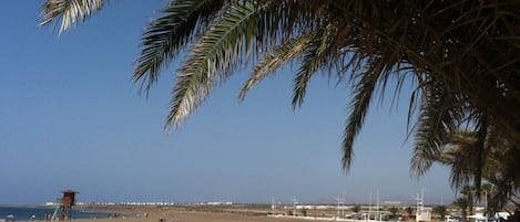 在海滩、沙滩毛巾