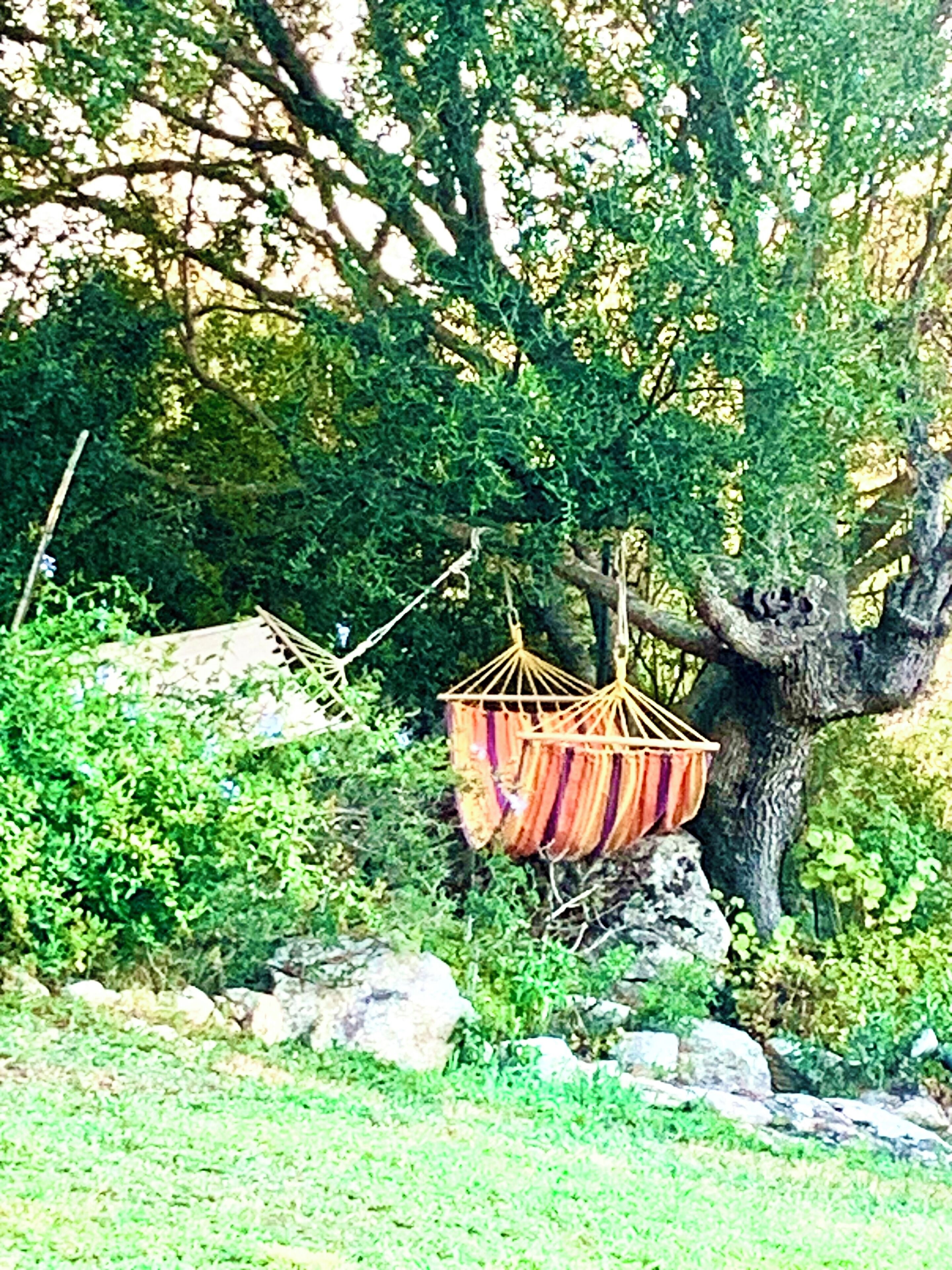 A hammock hanging from a tree in a garden with rocks and greenery around.