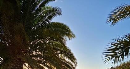 Walk to beaches,pool and town. Bright, Spacious, luxury. A/C, WiFi, own garden.