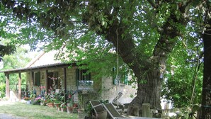 A stone house with a porch, surrounded by potted plants and a hammock. - FANTASTIC RURAL HOUSE IN FULL RELAXATION IN THE HILLS WITH SWIMMING POOL (CIVITELLA DI ROMAGNA)