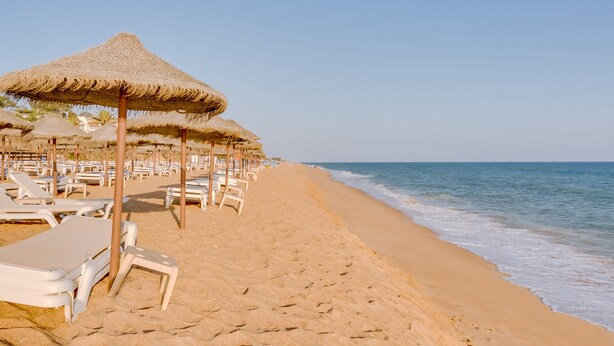 A beach with sun loungers and thatched umbrellas. - Villa V1 Vale do Lobo Beach - 2 steps to the beach - free wifi - NEW (Vale de Lobo)