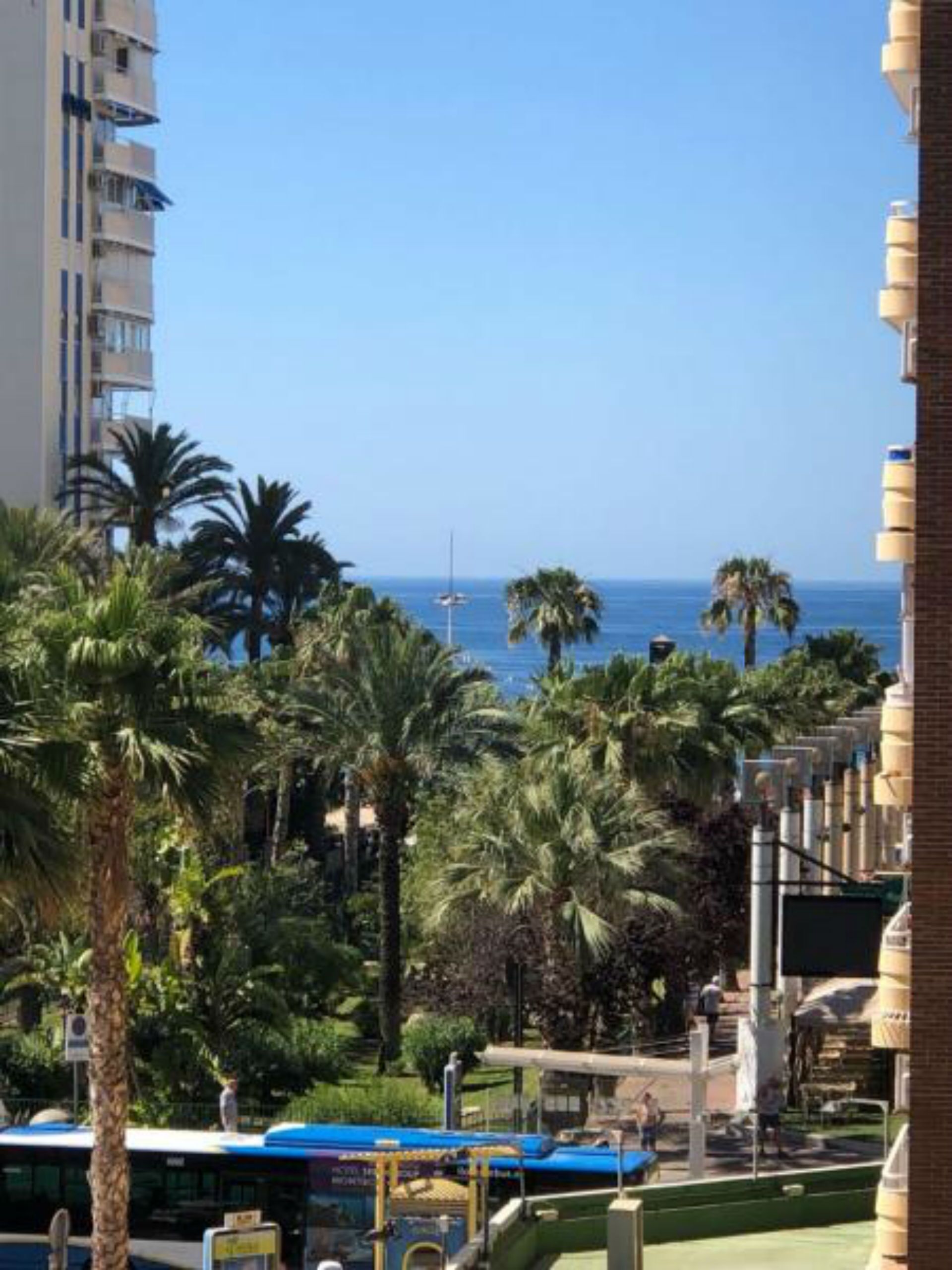 Un hotel con vista al mar, palmeras y un autobús.