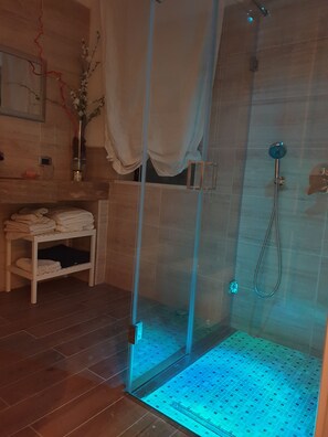Shower, hair dryer, bidet, towels