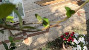 外观细节