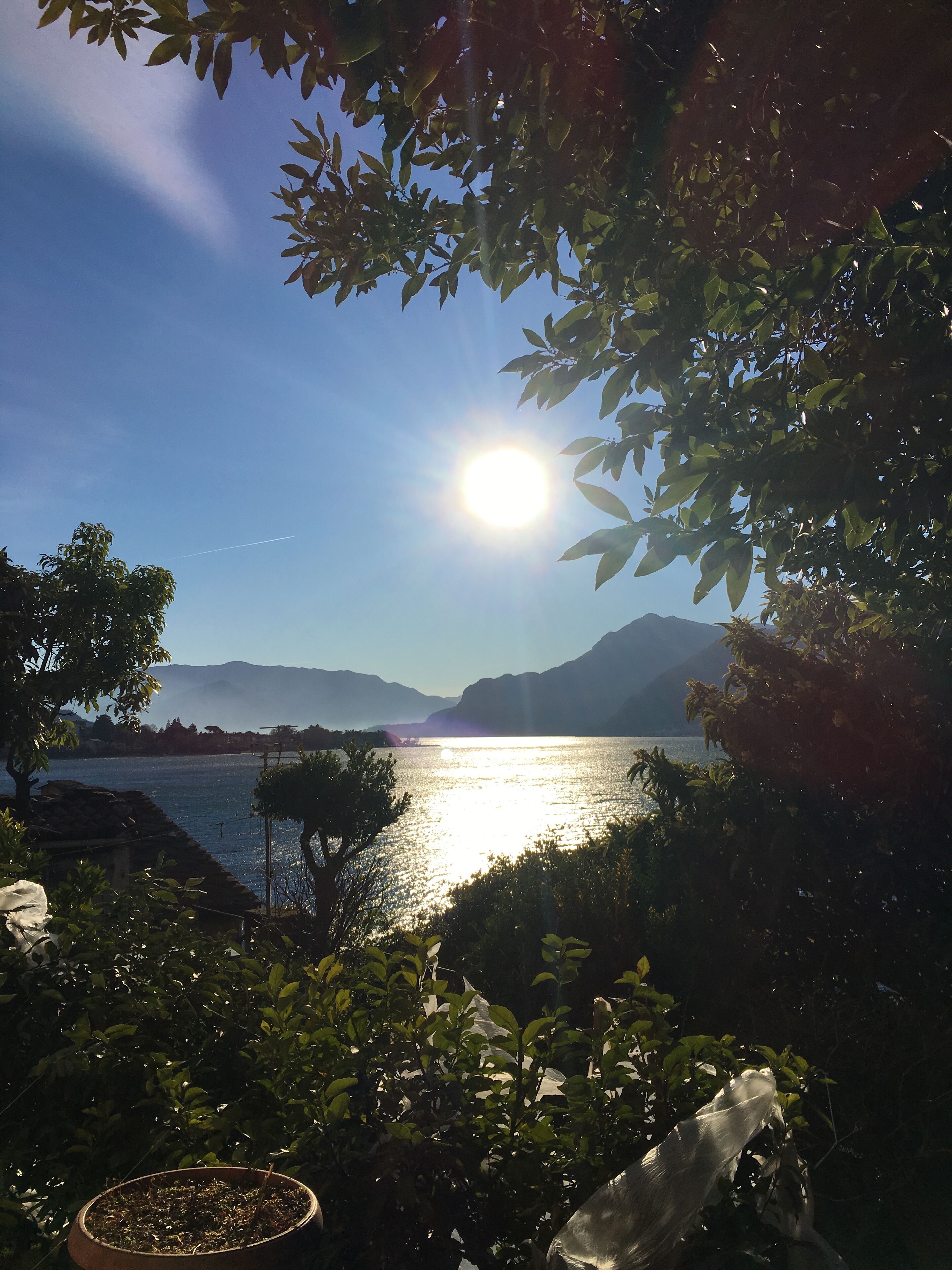 A serene lakeside view with a clear sky, distant mountains, and lush greenery.