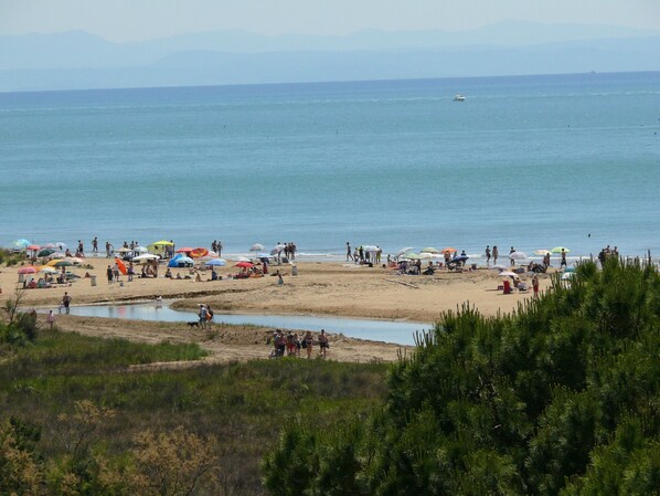 Una playa cerca