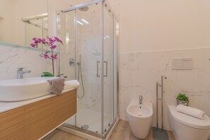 Shower, hair dryer, bidet, towels