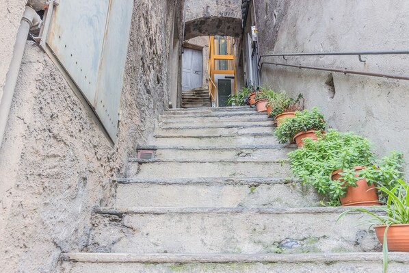 A narrow stone staircase with potted plants on the sides, leading to a door at the top.