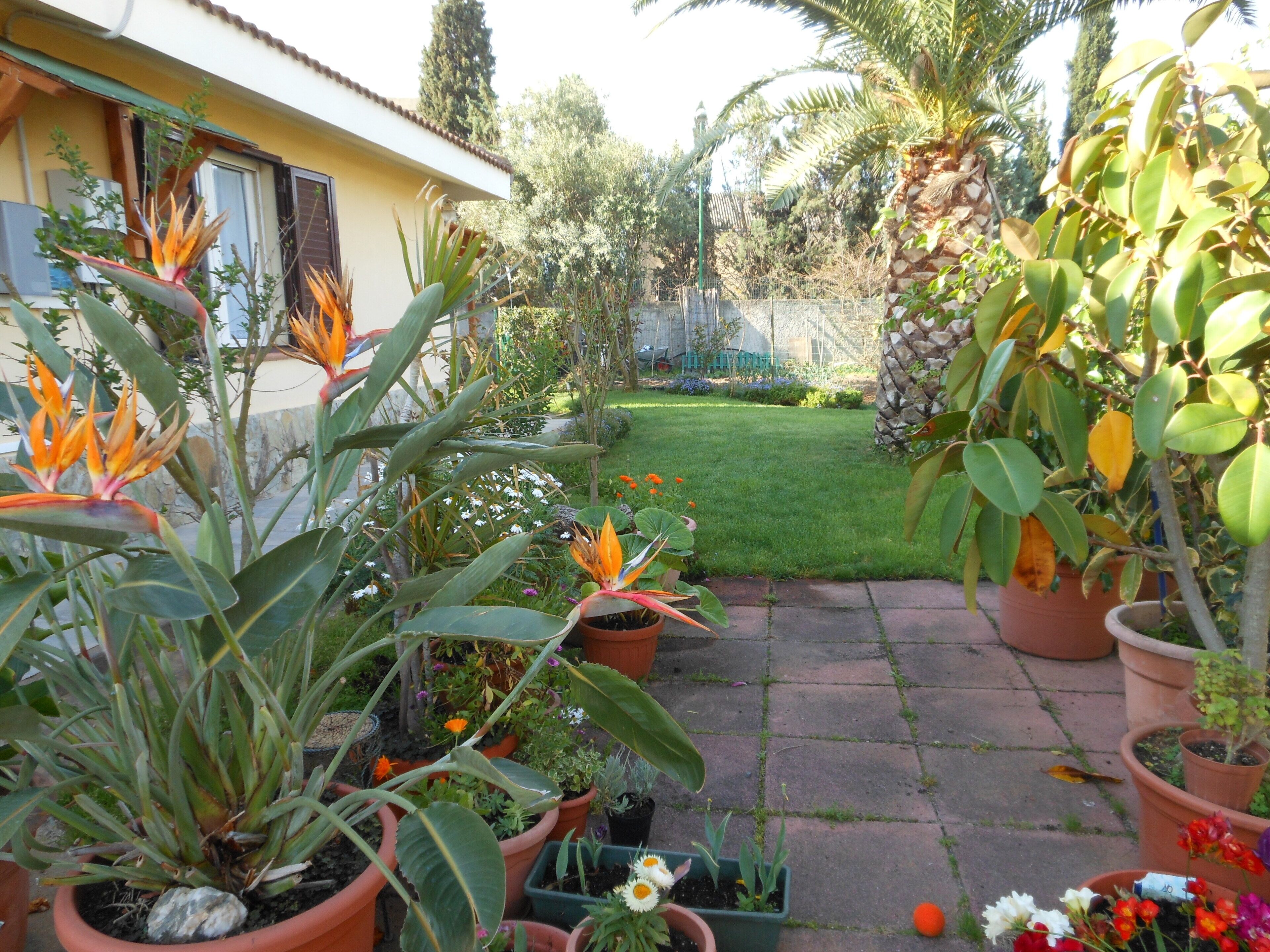 Parco della struttura